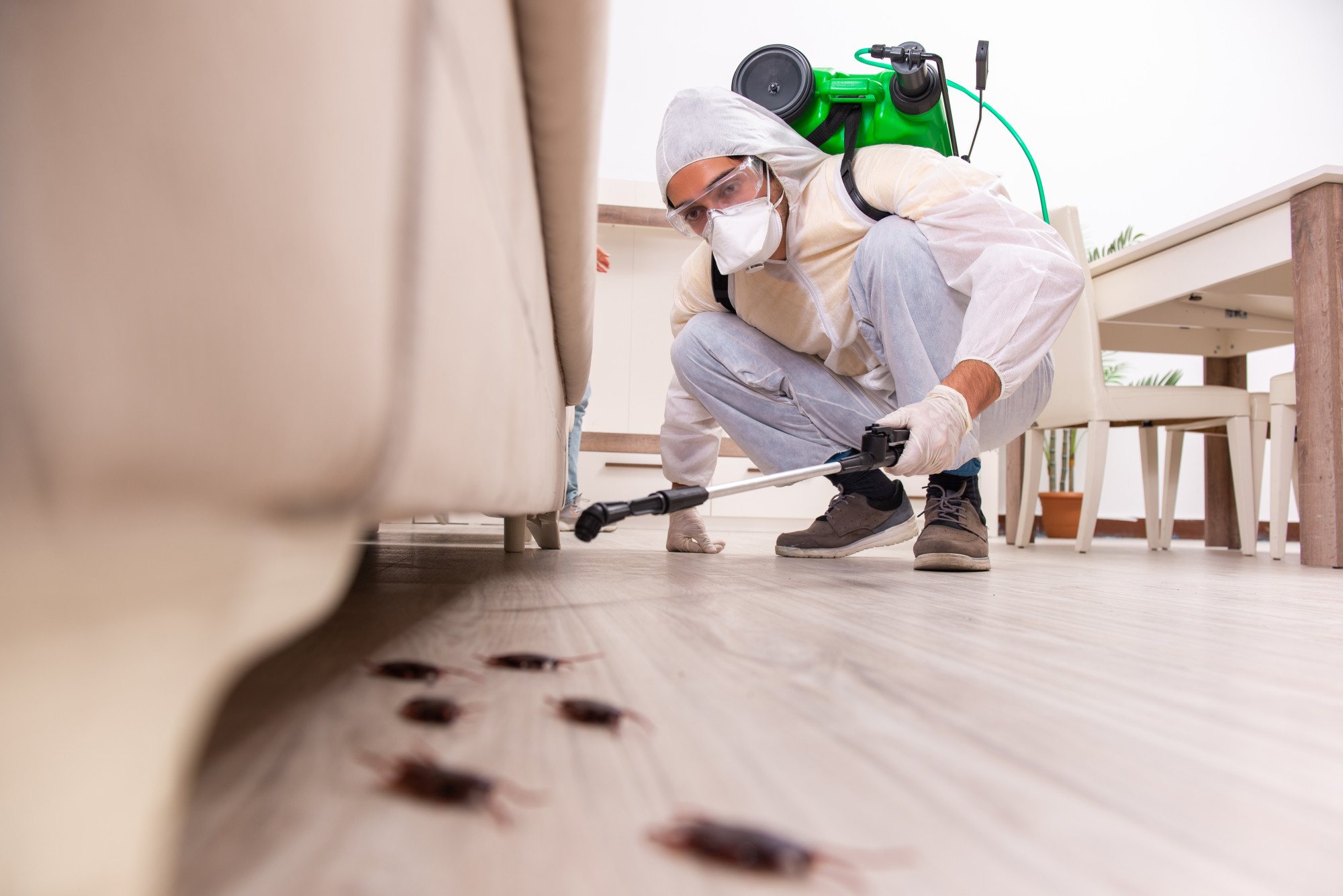 Pest control specialists treating a home